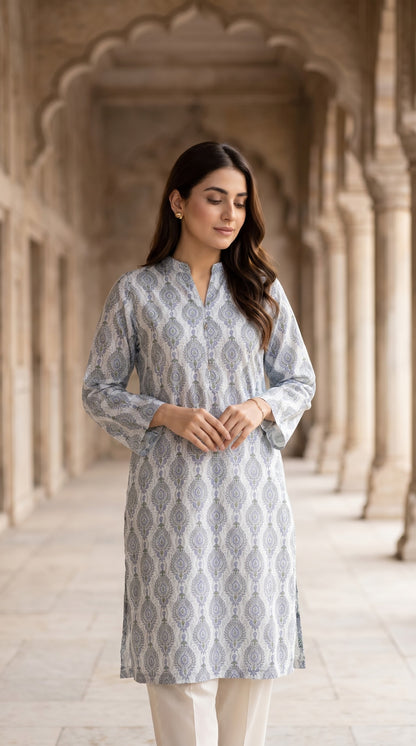 Powder Blue & Silver Grey Lawn Printed Kurti