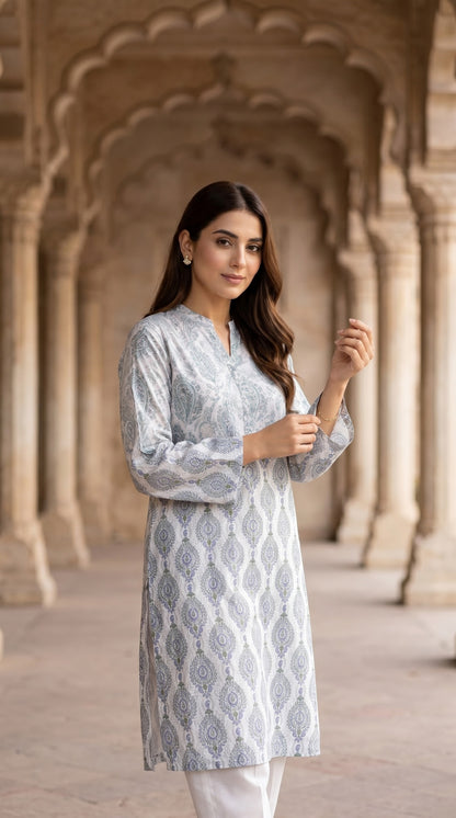 Powder Blue & Silver Grey Lawn Printed Kurti